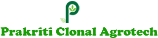prakriti logo